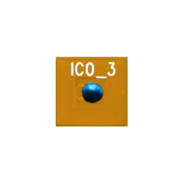 RN0800-2.png